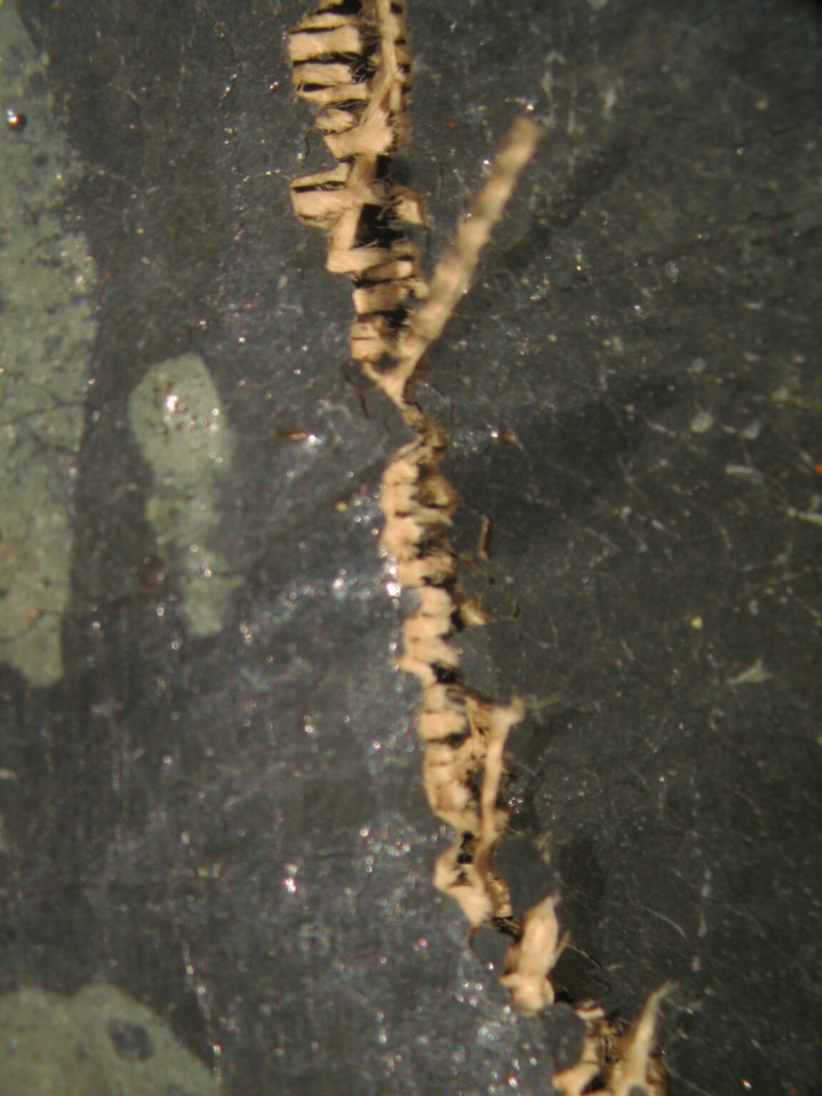 Podczas ekspozycji obraz został uszkodzony, powstało rozdarcie długości 23,5 cm.