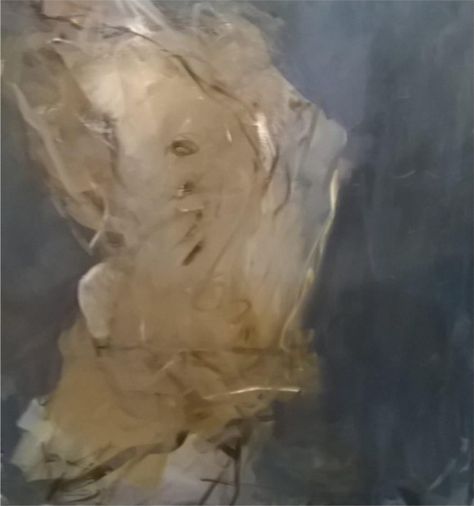 BEZ TYTUŁU, 2009, olej, płótno, 120 x 110 cm