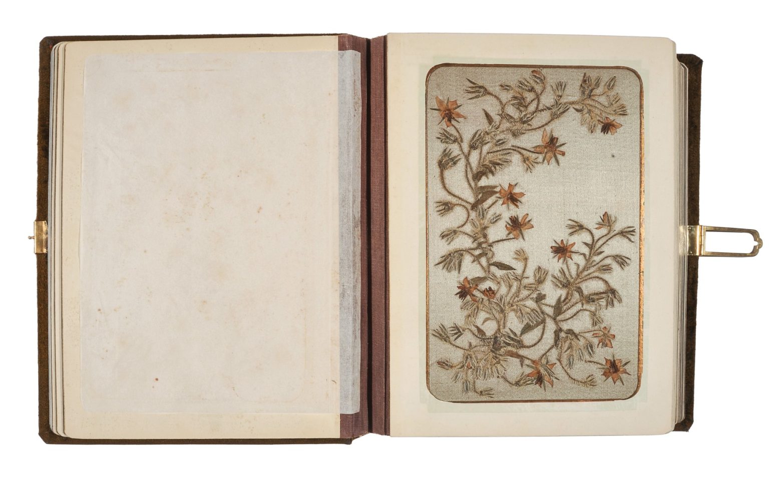 Artystycznego zielnika Elizy Orzeszkowej, wł MNW, po konserwacji