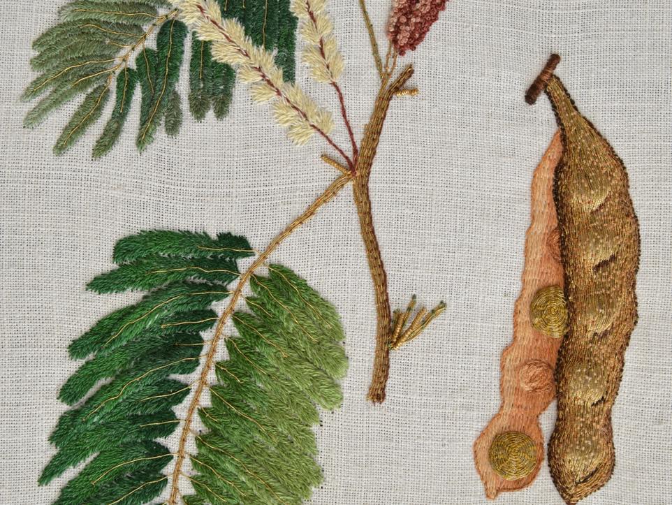 Zbliżenie na haft przedstawiający zielone gałązki oraz oraz roślinę strączkową