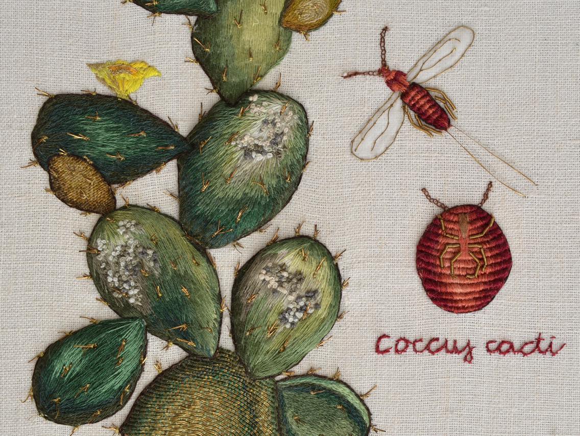 Zbliżenie na haft przedstawiający kaktusa oraz czerwonego owada
