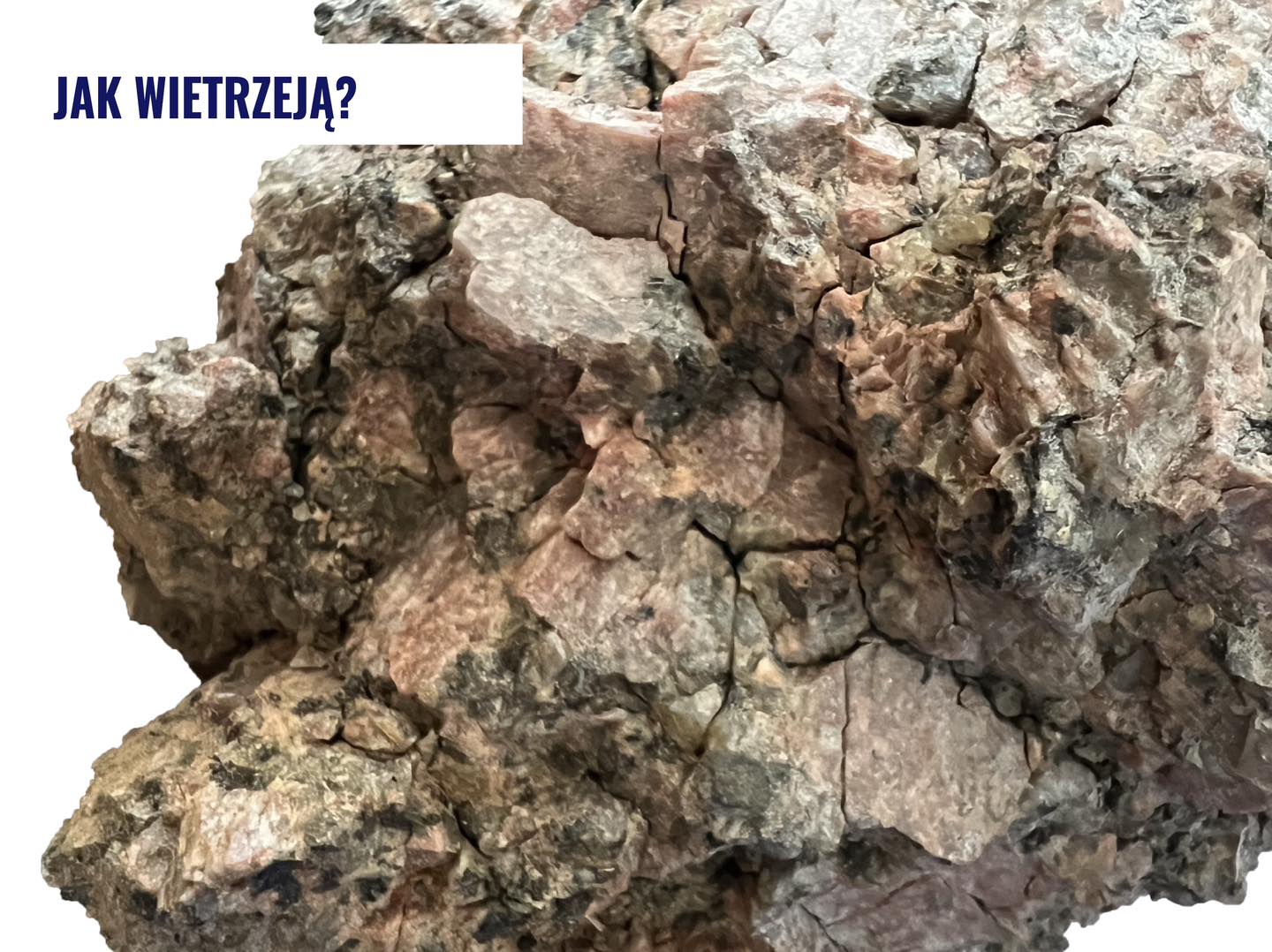 Zbliżenie mikroskopowe na kamień