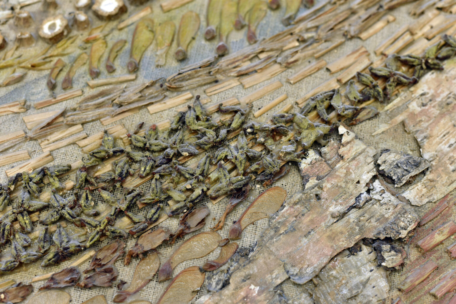 projekt stypendialny