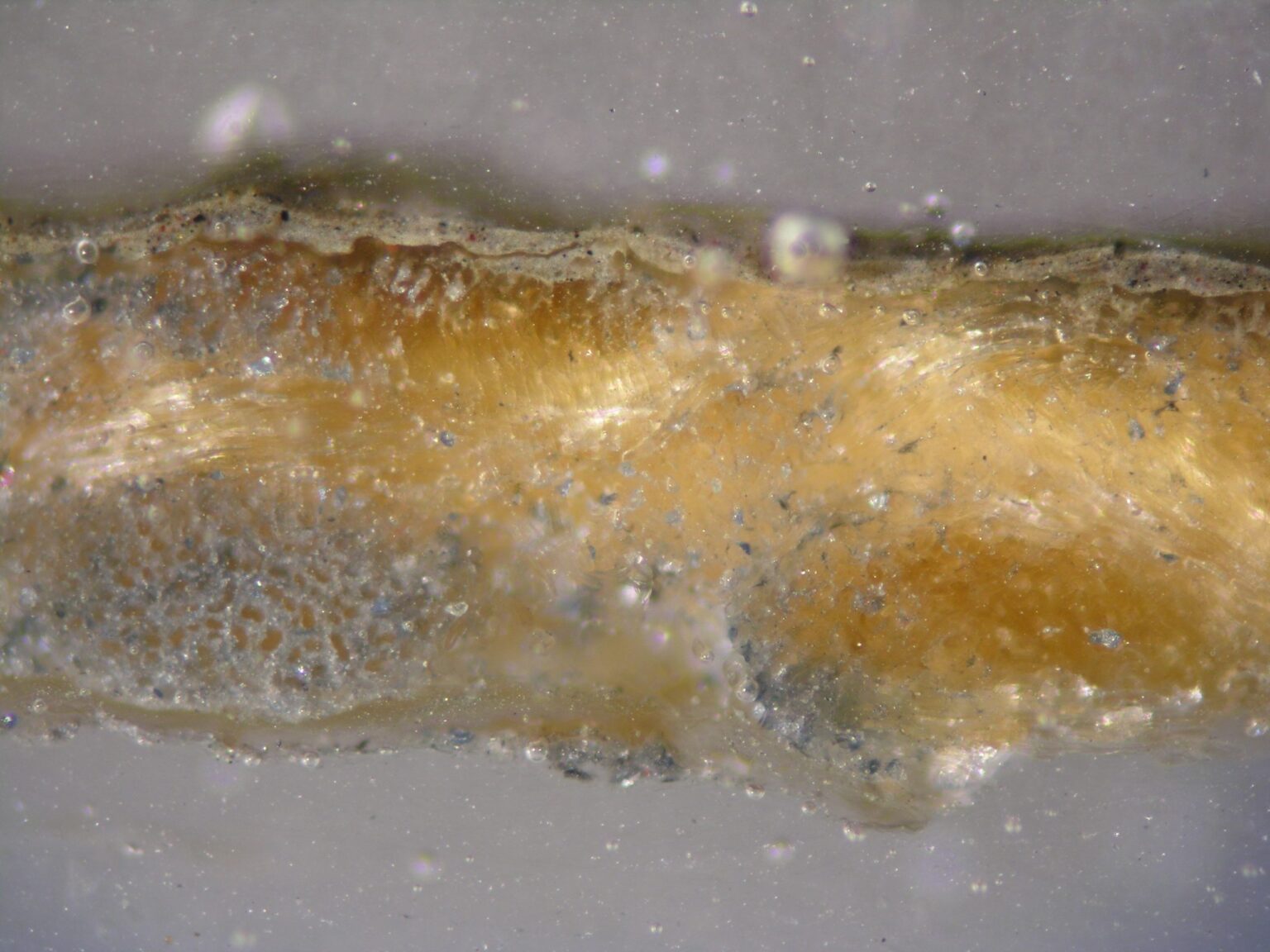 Przekrój poprzeczny przez warstwę fotograficzną i malarską. Próbka pobrana z portretu Jana Cetnarskiego autorstwa Eugeniusza Jurkiewicza z 1910 r.