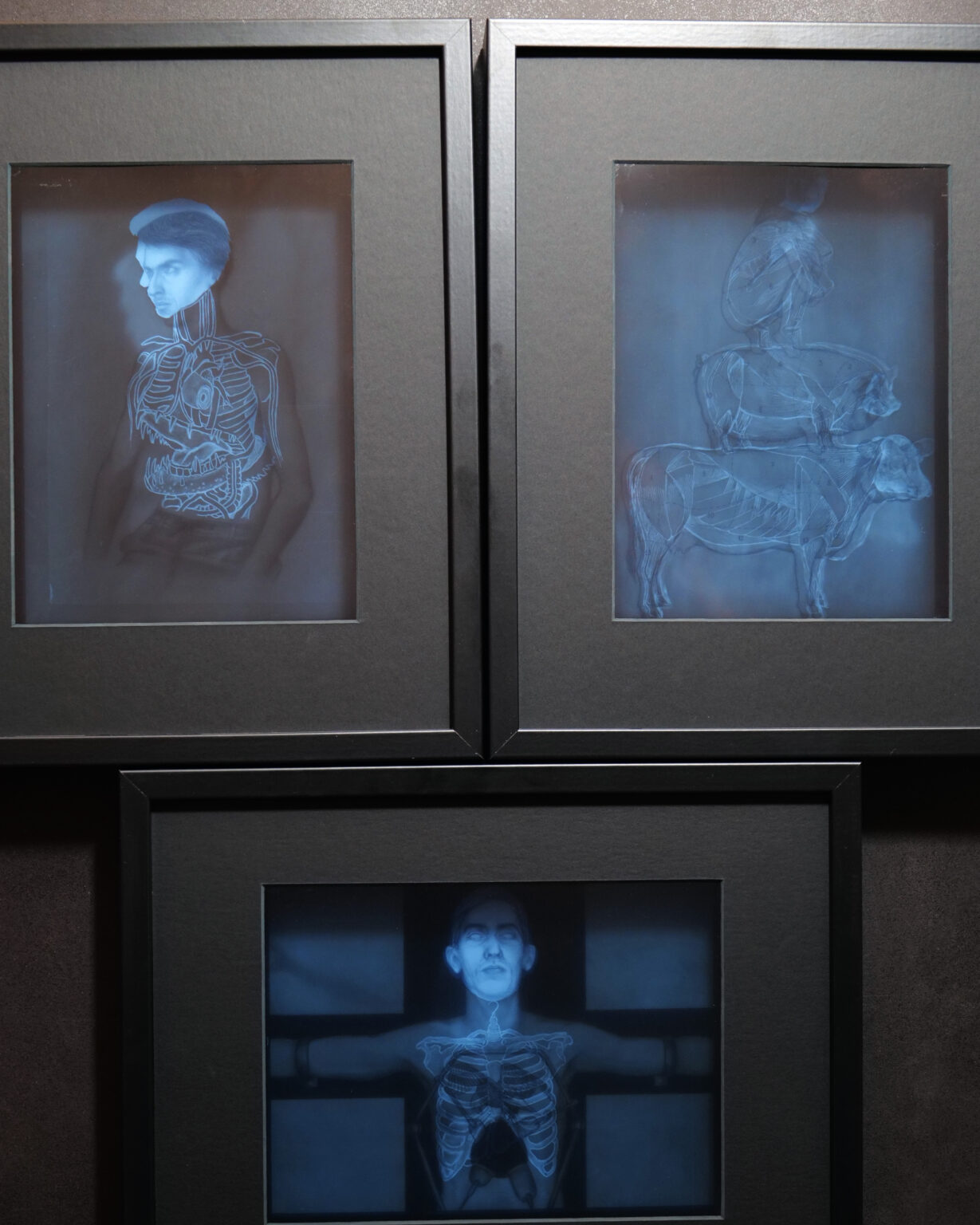 Kompozycja trzech obrazów w czarnych ramach. U góry po lewej portret mężczyzny z zaznaczoną anatomią wewnętrzną. U góry po prawej schematyczny obraz zwierząt ustawionych jeden na drugim. Na dole obraz przedstawiający osobę z rozpostartymi ramionami, z widocznym układem kostnym klatki piersiowej, stylizowanym na zdjęcie rentgenowskie.